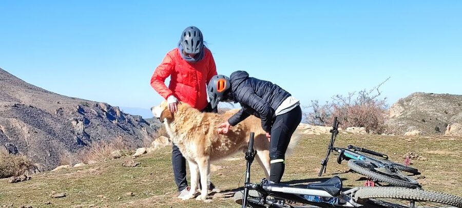 Sierra Nevada Small Group E-Bike Tour - Mulhacén, white villages, and the long route home
