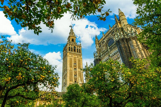 Skip the Line Seville Alcázar, Cathedral & Giralda Guided Tour - What the guides add to the visit