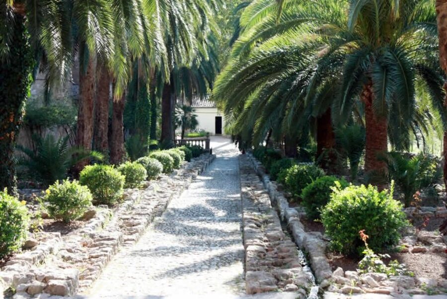 Sóller: Jardines de Alfabia Entrance Ticket - Is $11 a fair price?