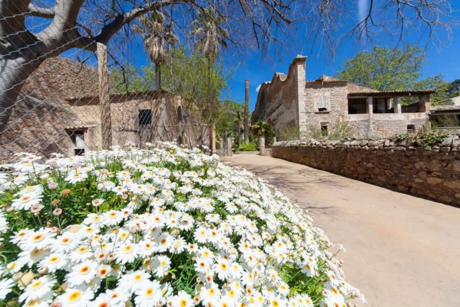 Sóller: Jardines de Alfabia Entrance Ticket - Who will enjoy Alfabia most?