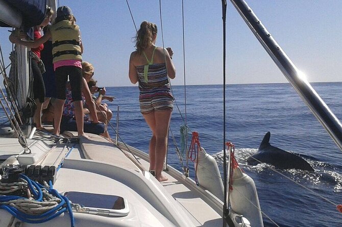 South Coast Tenerife Cruise - The swimming and snorkeling stop near Puertito de Armeñime