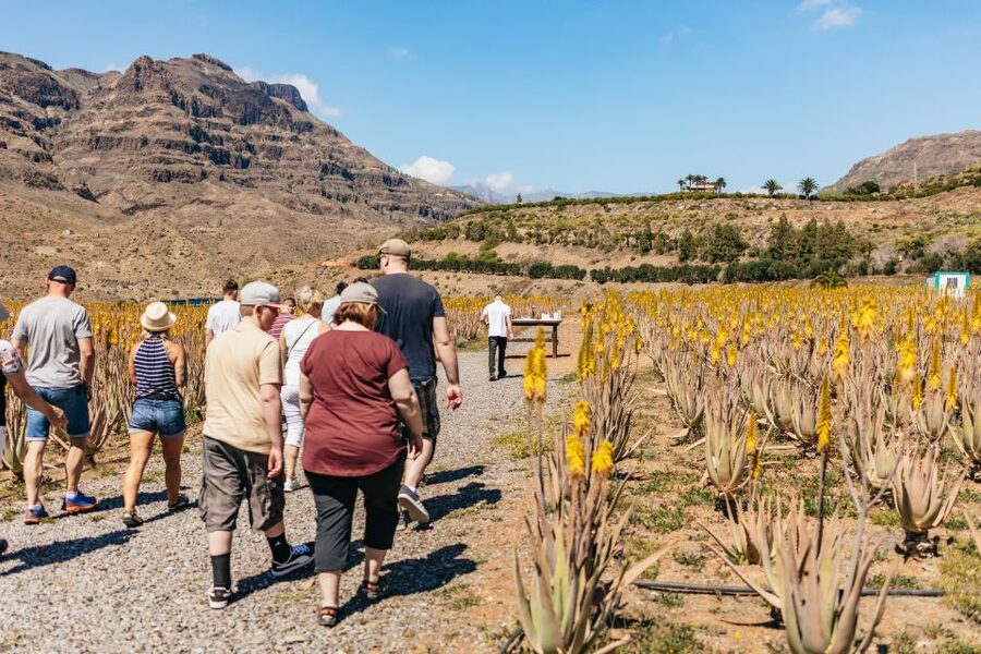 South Gran Canaria: Off-Road Valleys & Villages Jeep Tour - From Maspalomas to the mountain tracks