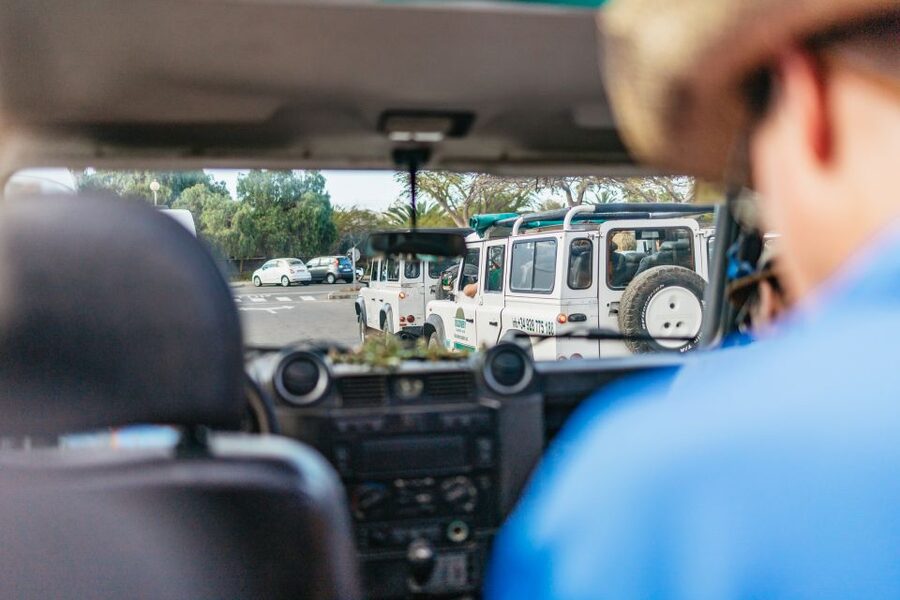 South Gran Canaria: Off-Road Valleys & Villages Jeep Tour - Mirador Las Moscas and the final view