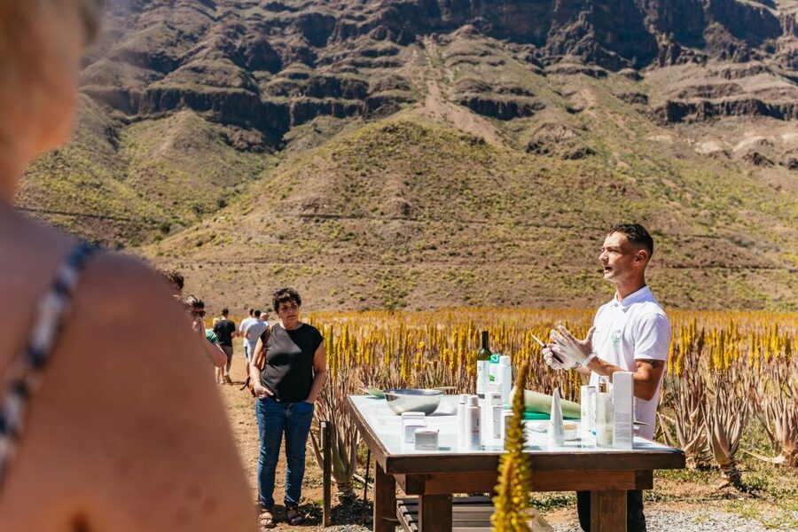 South Gran Canaria: Off-Road Valleys & Villages Jeep Tour - Comfort, safety, and who should skip it