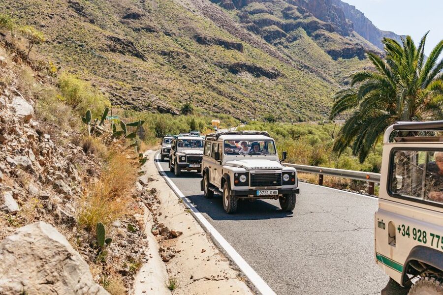 South Gran Canaria: Off-Road Valleys & Villages Jeep Tour - The guide can shape the whole day