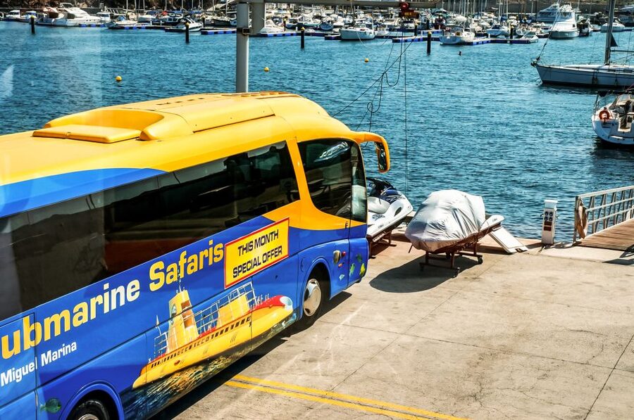 Southern Tenerife: 50-Minute Submarine Dive - The descent to 30 meters