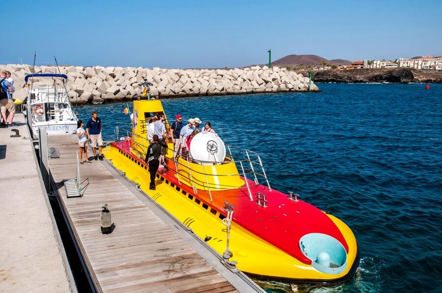 Southern Tenerife: 50-Minute Submarine Dive - Who will enjoy this most?