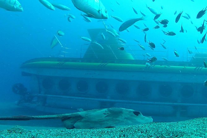 Submarine Safaris Lanzarote - The Descent to 30 Meters