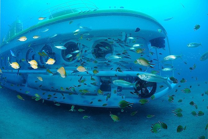 Submarine Safaris Lanzarote - Who Should Book Submarine Safaris Lanzarote?