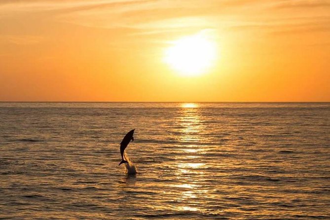 Sunset Beach Hopping Cruise, Cala Comte and Cala Bassa, SUP and snorkelling - Cala Tarida and Cala Salada depend on the weather