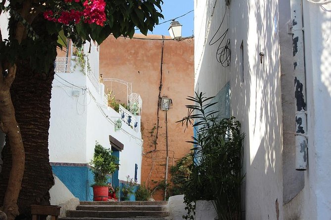 Tangier Day Trip from Seville with Lunch Included & Local Guide - Tangier’s Medina, Kasbah, and souk
