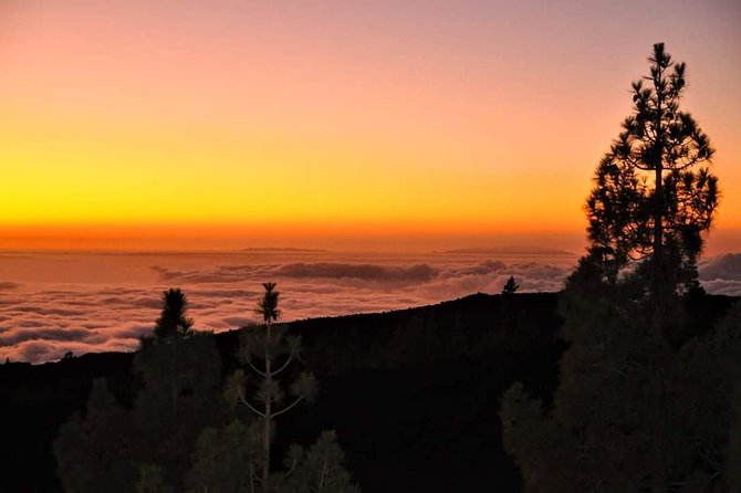 Teide National Park Sunset & Stargazing with Dinner (Star Safari) - Photos, communication, and group size