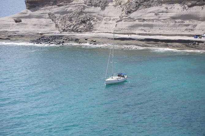 Tenerife 3-Hour Discover Whales and Dolphins - Leaving Puerto Colón for Tenerife’s cetacean waters