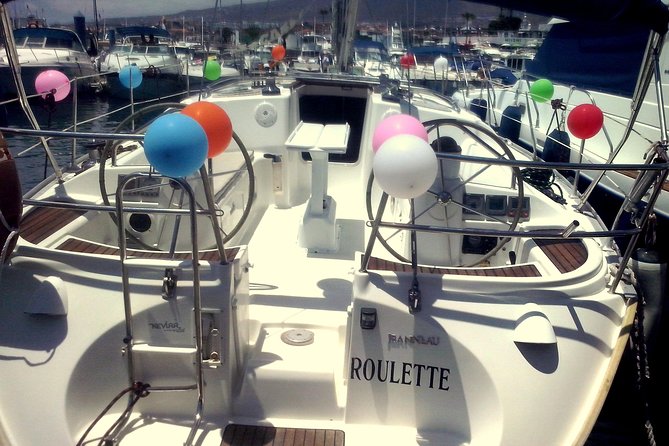 Tenerife 3-Hour Discover Whales and Dolphins - Watching pilot whales from a respectful distance