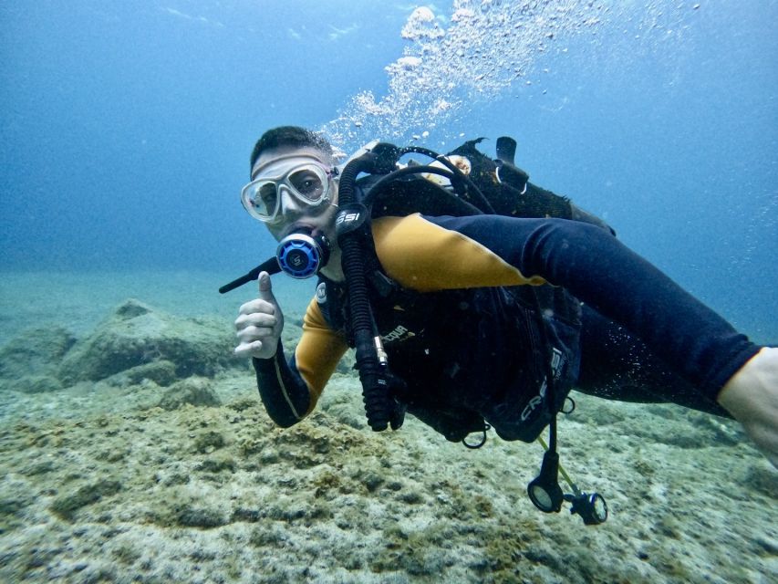 Tenerife: Beginner's Dive at a Spot with Turtle Sightings - A first underwater session on Tenerife’s south coast