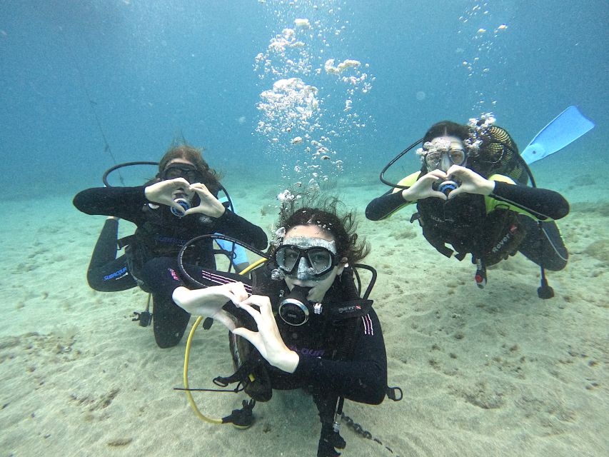 Tenerife: Beginner's Dive at a Spot with Turtle Sightings - Finding Zero Gravity Tenerife at Puerto Colón