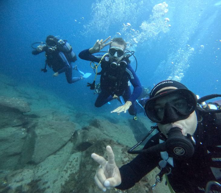 Tenerife: Beginner's Dive at a Spot with Turtle Sightings - A 15-minute speedboat ride from Puerto Colón