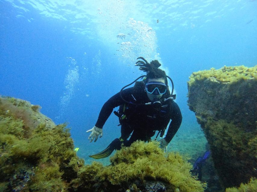 Tenerife: Beginner's Dive at a Spot with Turtle Sightings - Up to 45 minutes among fish and rocky seabed