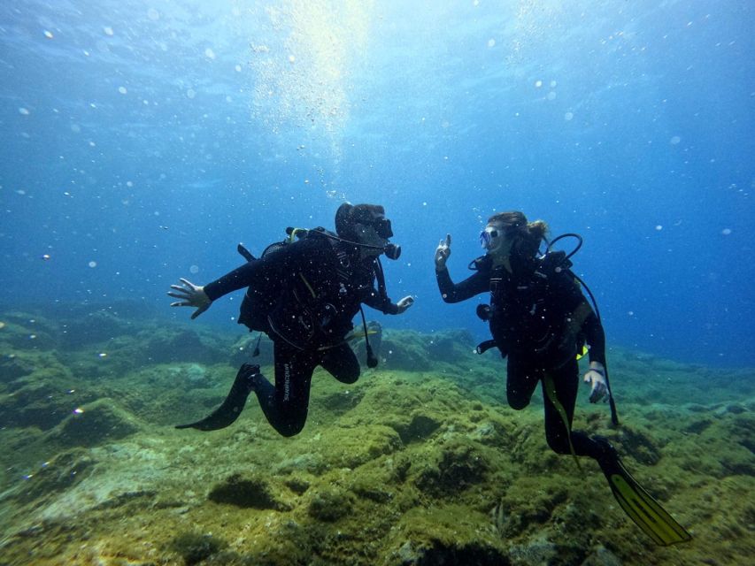 Tenerife: Beginner's Dive at a Spot with Turtle Sightings - Snorkeling while the other pair is underwater