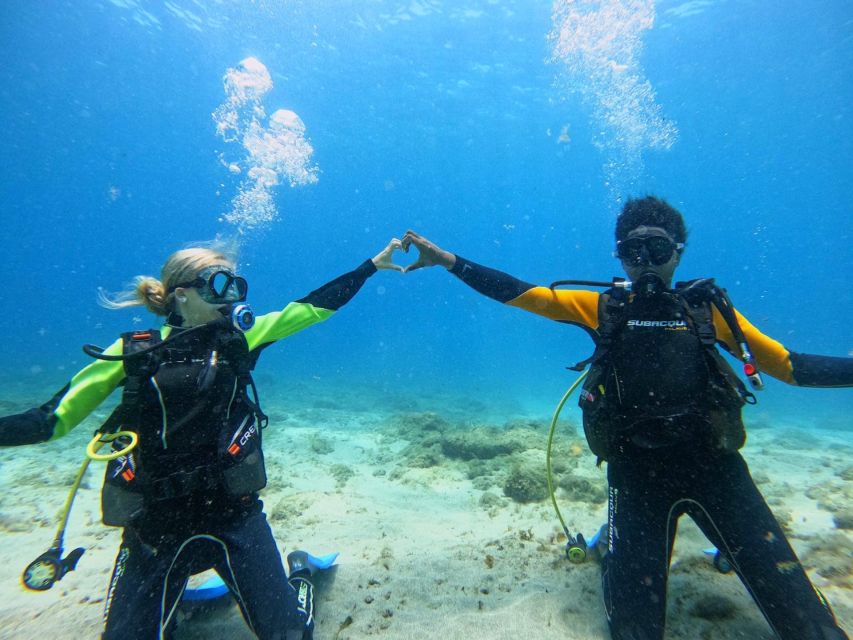 Tenerife: Beginner's Dive at a Spot with Turtle Sightings - What the strongest feedback tells me