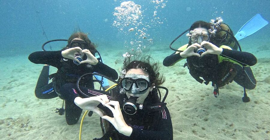 Tenerife: Beginner's Dive at a Spot with Turtle Sightings - The 30-minute safety lesson