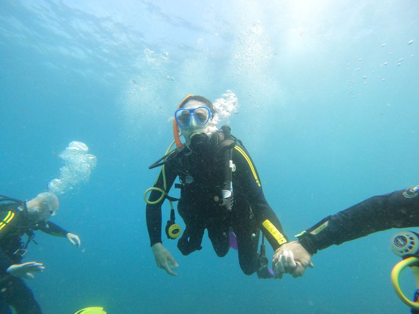 Tenerife: Beginners Scuba Dive Experience in Turtle Area - Should you book this Tenerife scuba experience?