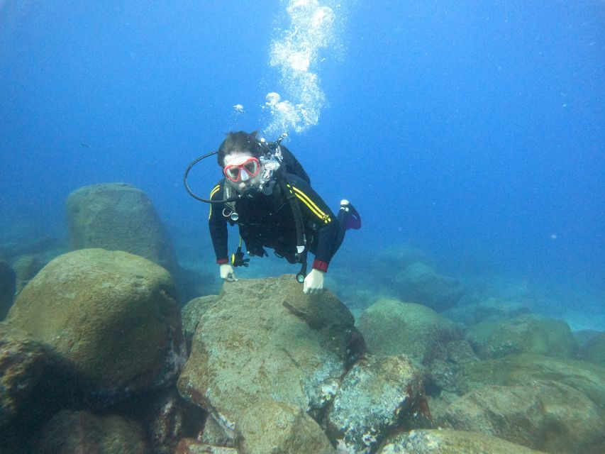 Tenerife: Beginners Scuba Dive Experience in Turtle Area - A first taste of scuba in Costa Adeje