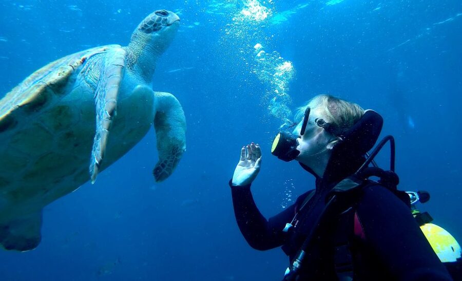 Tenerife: Beginners Scuba Dive Experience in Turtle Area - The 25-minute scuba session at up to 12 meters