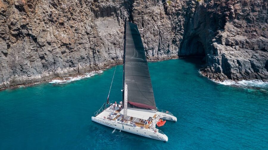 Tenerife: Catamaran Cruise with Brunch and Unlimited Drinks - Looking for whales and dolphins near Punta Rasca