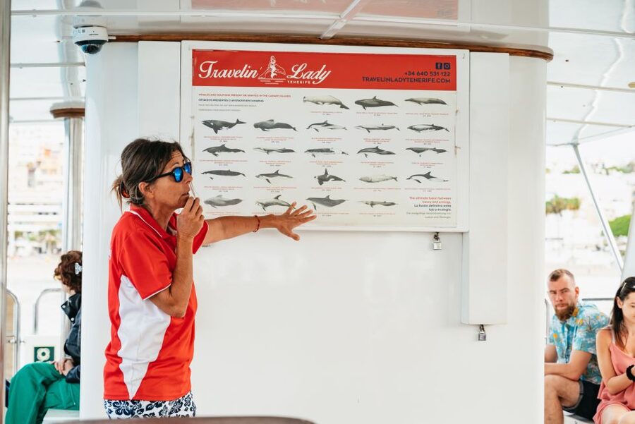 Tenerife: Eco-Yacht Whale and Dolphin Watching and Swimming - Key points at a glance
