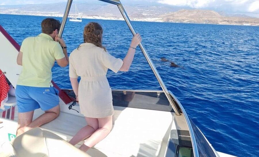 Tenerife: Eco-Yacht Whale and Dolphin Watching and Swimming - Swimming and snorkeling near the end