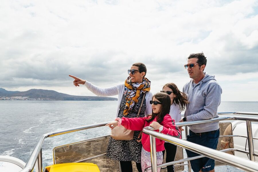 Tenerife: Eco-Yacht Whale and Dolphin Watching and Swimming - What the $13 price really includes