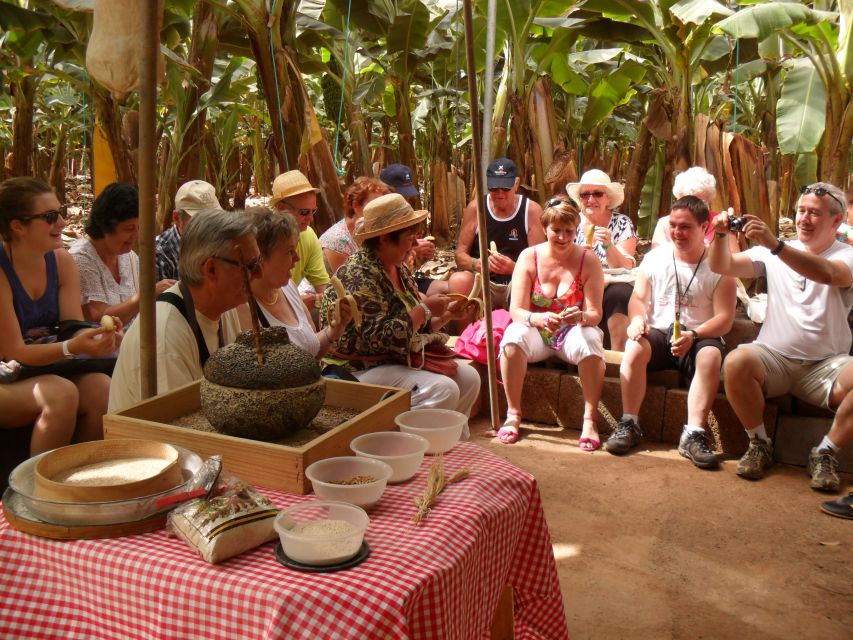 Tenerife: Finca Las Margaritas Banana Plantation Experience - Gofio and the tasting at El Cuartito