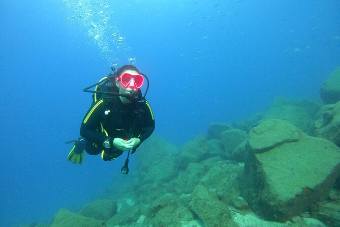Tenerife First Time Scuba Dive – Turtle Habitat, Small Groups - From Puerto Colón to your first underwater breath