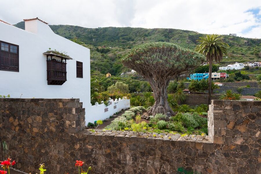 Tenerife: Full-Day Guided Island Tour - Key points at a glance