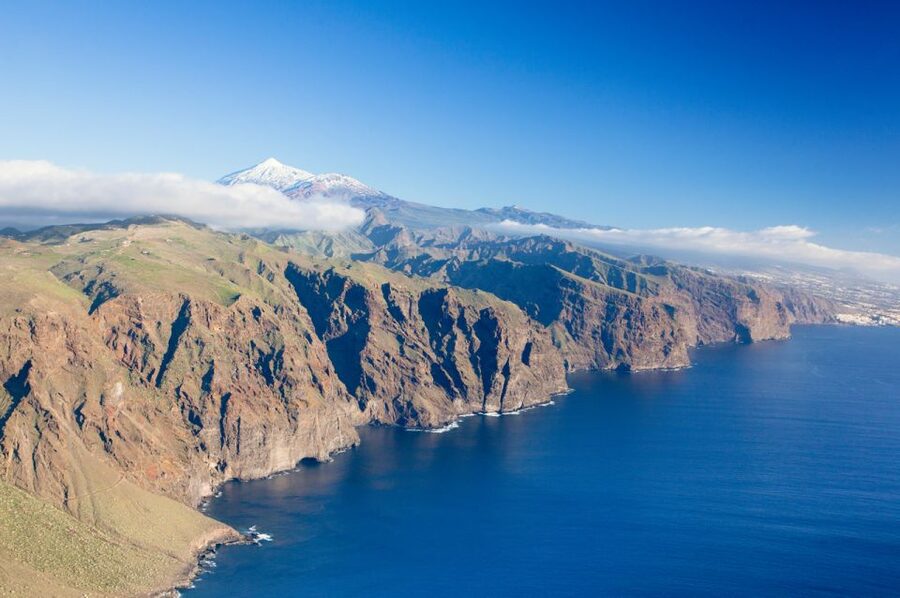 Tenerife: Full-Day Guided Island Tour - Icod de los Vinos and the Dragon Tree