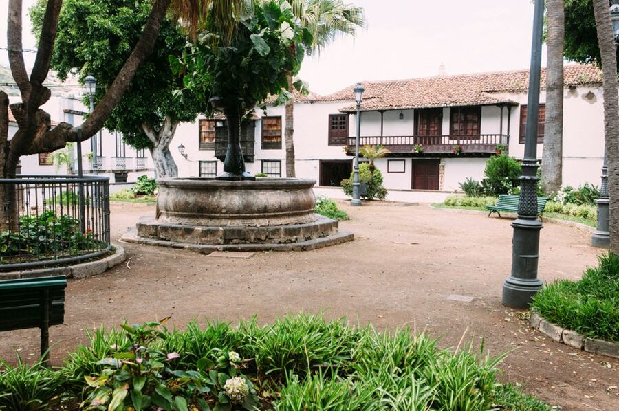 Tenerife: Full-Day Guided Island Tour - Puerto de la Cruz, the day’s best chance to wander