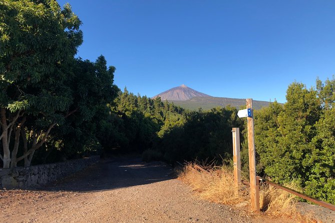 Tenerife Grand Tour: including Teide National Park and Masca - A big slice of Tenerife in nine hours