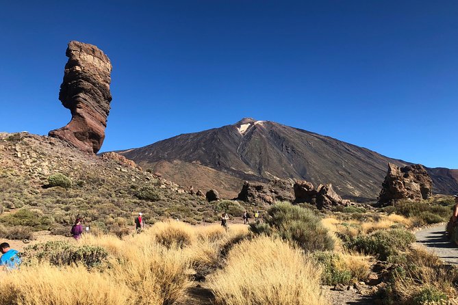 Tenerife Grand Tour: including Teide National Park and Masca - What the $66.08 price really buys