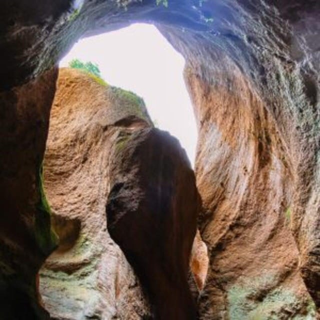 Tenerife: Guided Canyoning Experience in Los Arcos - Is $82 good value?