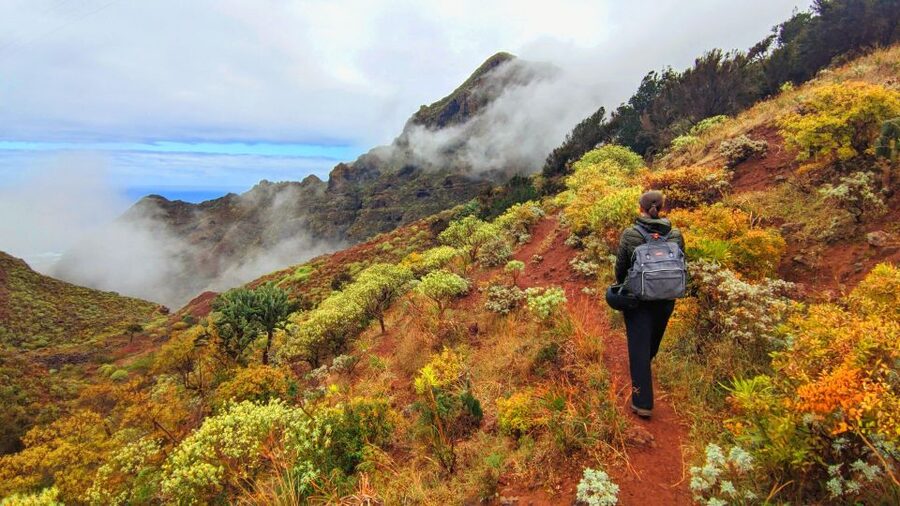 Tenerife: Hiking Tour in Anaga Mountains & Enchanted Forest - Key points to know before you book