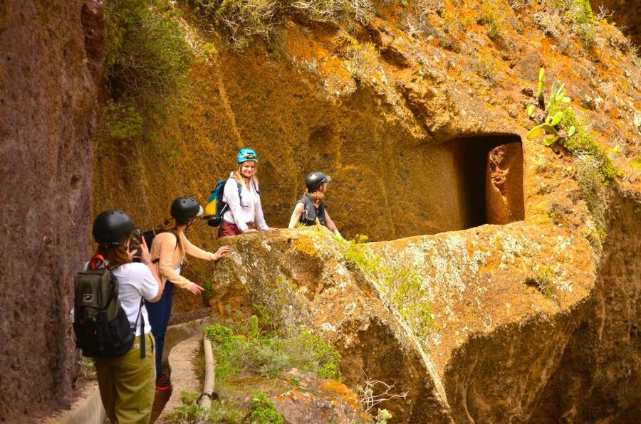 Tenerife: Hiking Tour in Anaga Mountains & Enchanted Forest - What to wear and carry