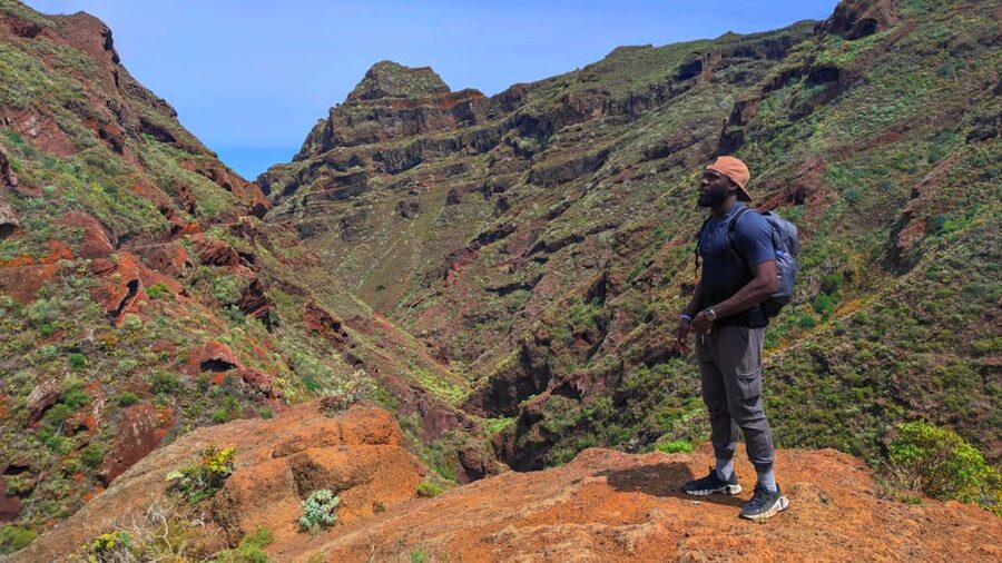 Tenerife: Hiking Tour in Anaga Mountains & Enchanted Forest - Transfers from the southeast and cruise-port appeal
