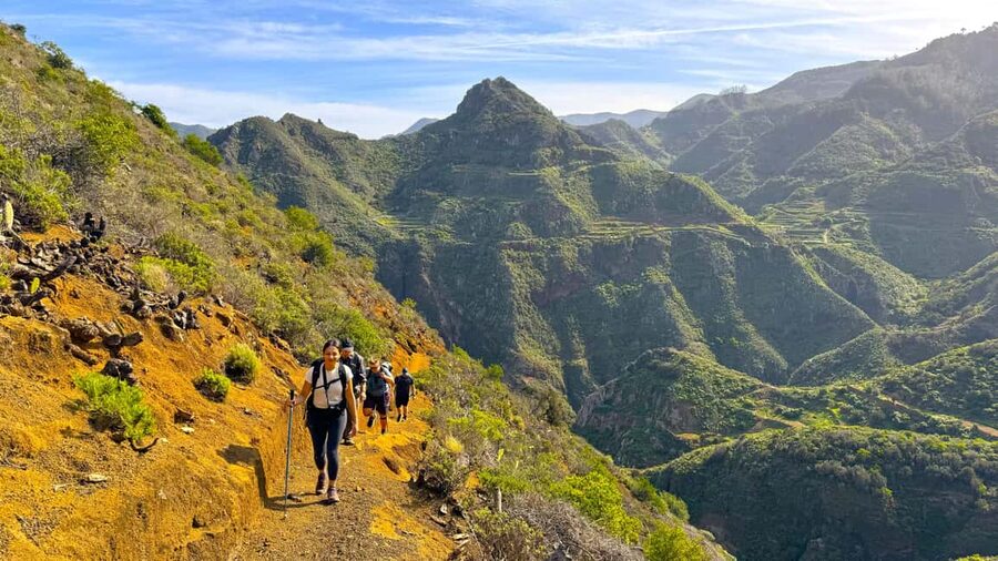 Tenerife: Hiking Tour in Anaga Mountains & Enchanted Forest - Is the $146 price fair?