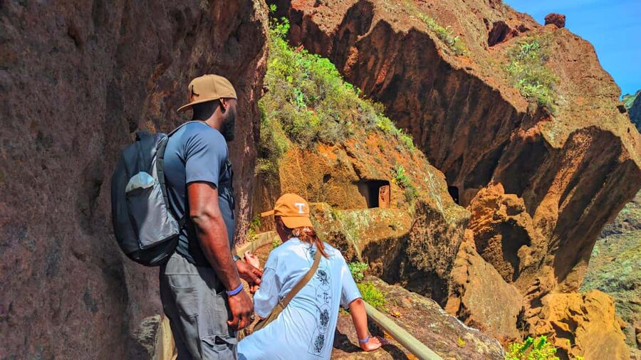 Tenerife: Hiking Tour in Anaga Mountains & Enchanted Forest - From the viewpoints into the laurel forest