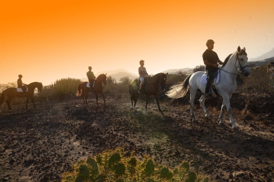 Tenerife: Horseback Ride with Instructor - Key points to know before you book