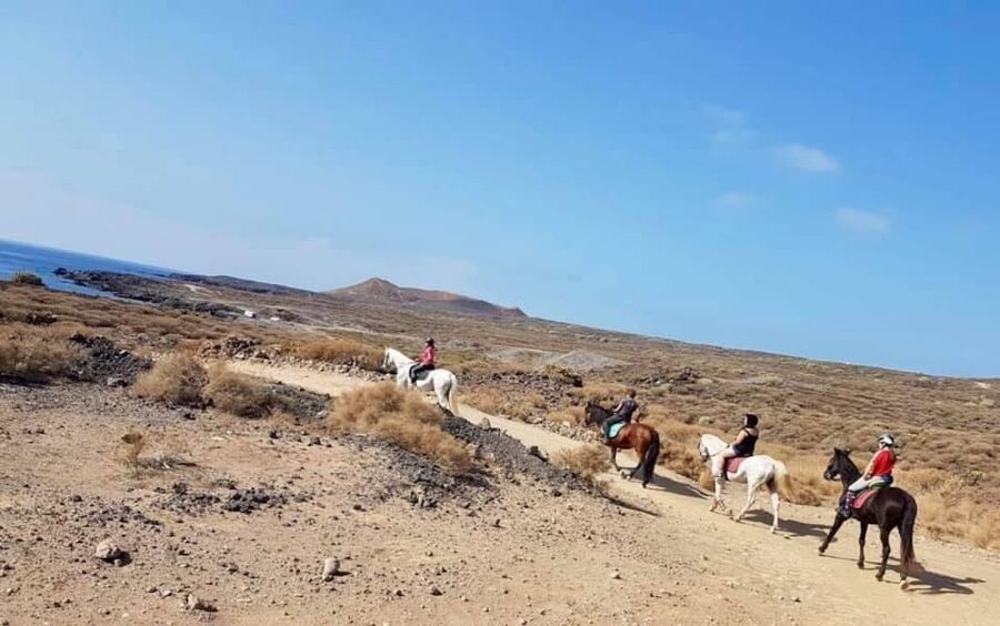 Tenerife: Horseback Ride with Instructor - Riding from Arona through southern Tenerife