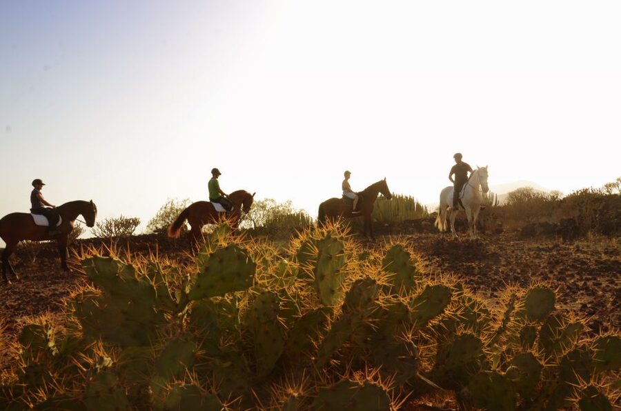 Tenerife: Horseback Ride with Instructor - The two-hour ride to the beach