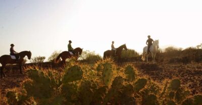Horseback Ride with Instructor