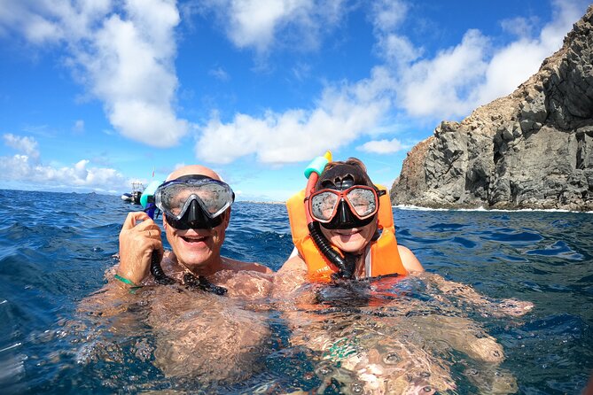 Tenerife: Kayak and snorkel with marine life safari - The snorkeling stop near the coast